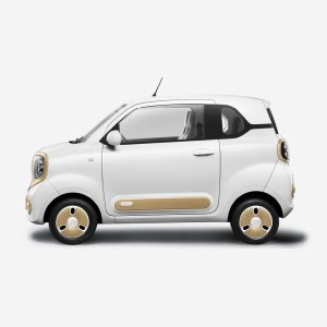 Alternative view of BESTUNE Xiaoma